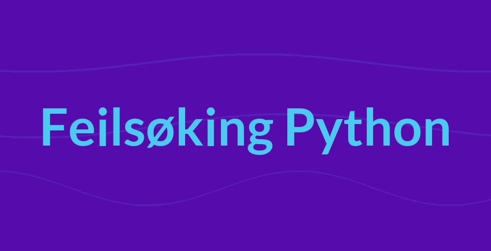 Header image for Feilsøking Python