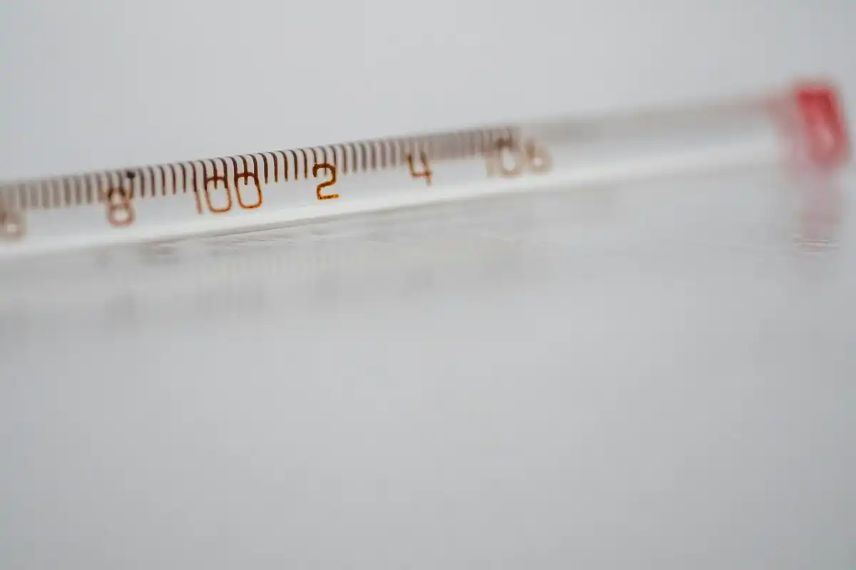 Header image for Konverterings-program